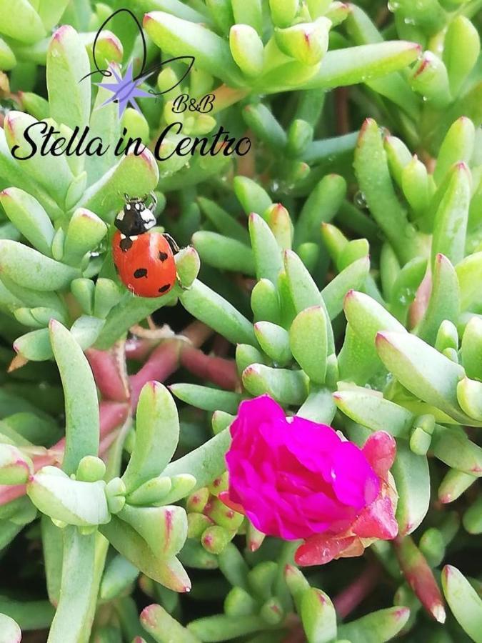 ساليرنو B&B Stella In Centro المظهر الخارجي الصورة